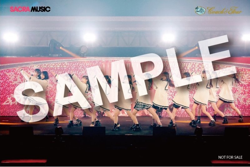 画像1: =LOVE『You all are “My ideal”〜日本武道館〜』 (1)