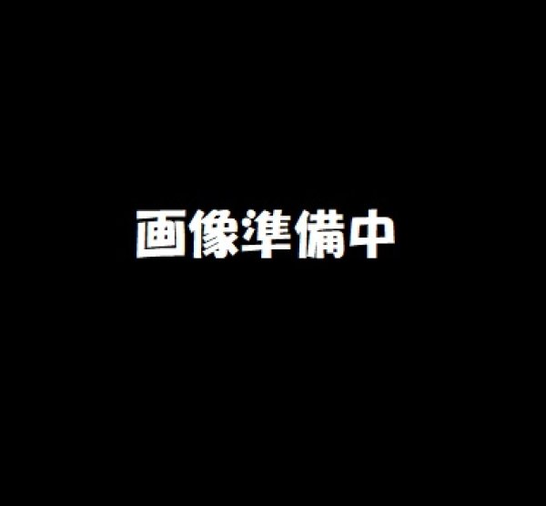 乃木坂46 ベストアルバム コーチャンフォー 乃木坂46 ベストアルバム コーチャンフォー