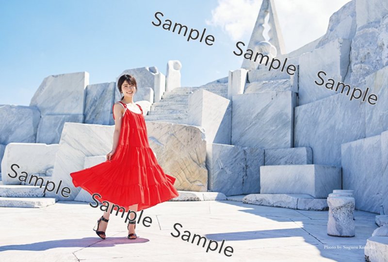 画像1: 日向坂46丹生明里1st 写真集『やさしい関係』　コーチャンフォーオリジナル特典付き (1)