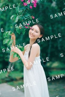 乃木坂46 36thシングル チートデイ ABCD4枚セット チートデイ 【Type-D】(+Blu-ray) : 乃木坂46 | HMV&BOOKS