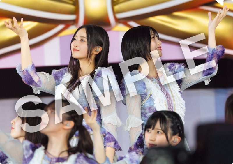 画像1: 乃木坂46 Blu-ray&DVD「13th YEAR BIRTHDAY LIVE」完全生産限定盤 コーチャンフォーオリジナル特典付き (1)