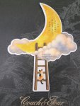 画像2: 月がきれいな夜に、誰かに思い出してほしかった　川代紗生【特典：しおり（三日月ver.）】 (2)