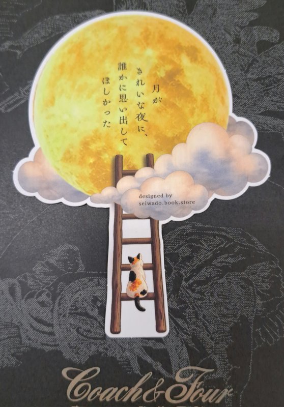 画像2: 月がきれいな夜に、誰かに思い出してほしかった　川代紗生【特典：しおり（満月ver.）】 (2)
